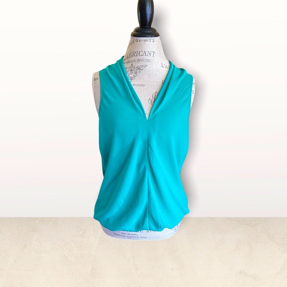 NWT Express Blouse